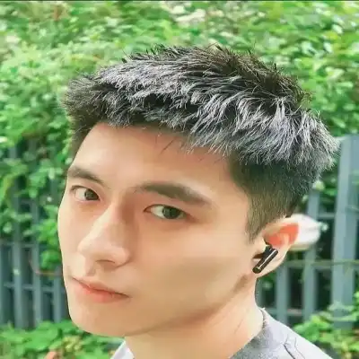 顾河柳